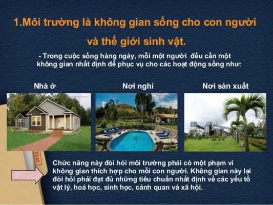 Môi trường là không gian sống của con người và sinh vật