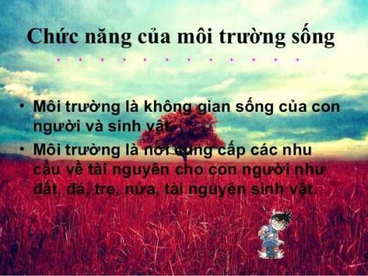 Mốt số chức năng cơ bản khác của môi trường