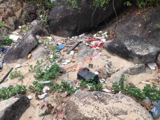 Tình trạng xả rác bừa bãi ở bán đảo Sơn Trà đã xảy ra từ lâu nay, mặc dù đã có nhiều người lên tiếng nhưng vẫn chưa được xử lý