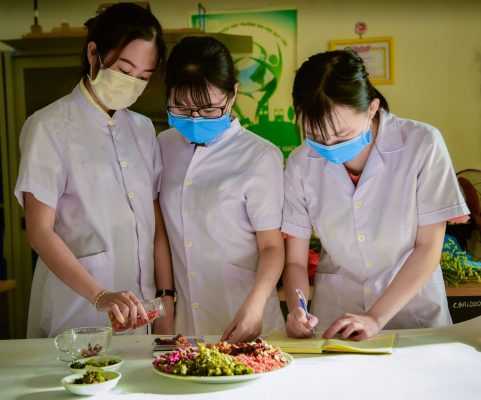 Nhóm sinh viên Quỳnh Trâm, Hoàng Duyên, Thùy Trang  đang nghiên cứu nguyên liệu